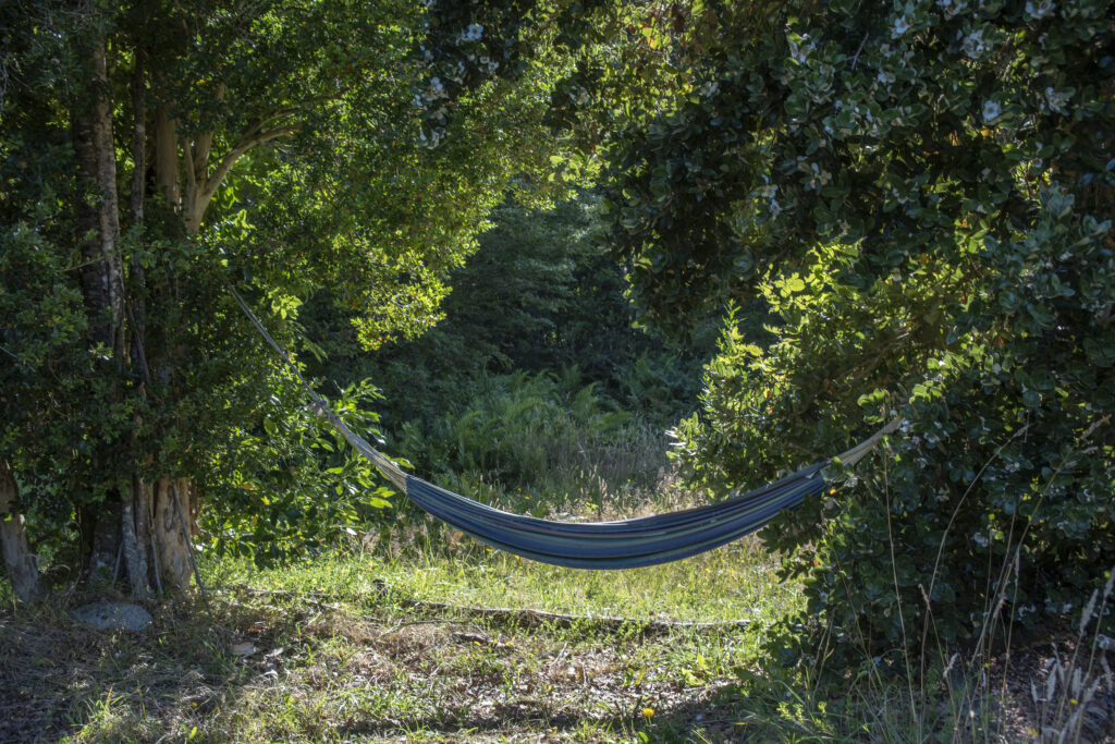 Healing from burnout